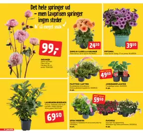 Jem & fix tilbudsavis uge 18 Side 10