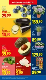 Lidl leták Strana 11