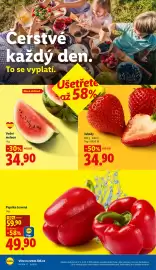Lidl leták Strana 10