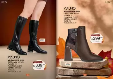 Catálogo Litzy Catálogo Página 15