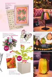 Coppelmans folder Pagina 3