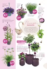 Coppelmans folder Pagina 4