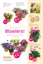 Coppelmans folder Pagina 7