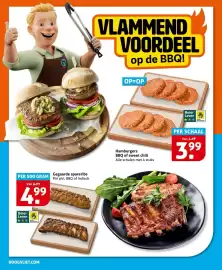 Hoogvliet folder week 18 Pagina 10