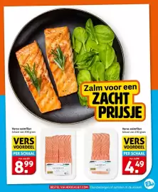 Hoogvliet folder week 18 Pagina 13