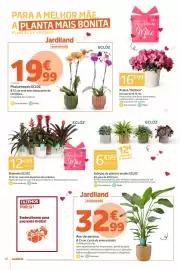 Catálogo Jardiland Página 10