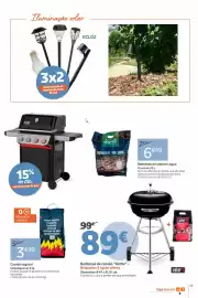 Catálogo Jardiland Página 13