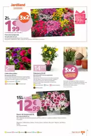 Catálogo Jardiland Página 3