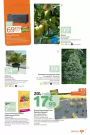 Catálogo Jardiland Página 7