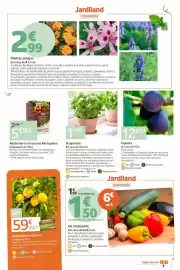 Catálogo Jardiland Página 9