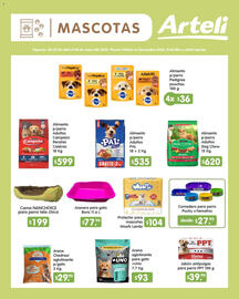 Folleto Arteli Página 18