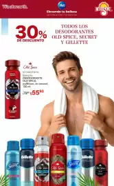 Folleto DelSol Página 10