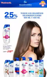 Folleto DelSol Página 3