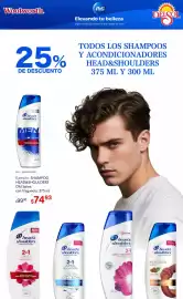 Folleto DelSol Página 4