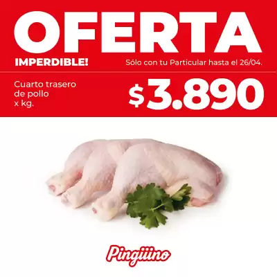 Pingüino (válido hasta 30-04)