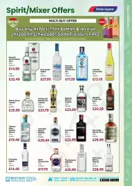 Bestway leaflet Page 17