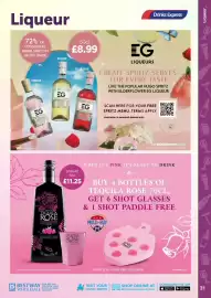 Bestway leaflet Page 31