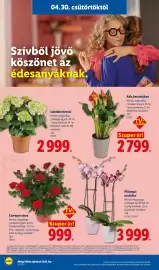 Lidl akciós újság hét 18 Oldal 20