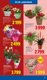 Lidl akciós újság hét 18 Oldal 21