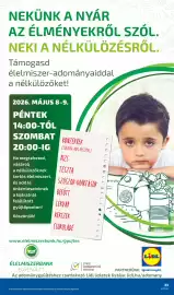 Lidl akciós újság hét 18 Oldal 23