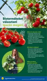 Lidl akciós újság hét 18 Oldal 36