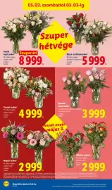 Lidl akciós újság hét 18 Oldal 38