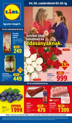 Lidl akciós újság (érvényes eddig: 6-05)