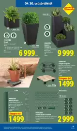 Lidl akciós újság hét 18 Oldal 11