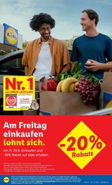 Lidl Flugblatt woche 17 Seite 8