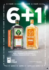 Adam leták Strana 17