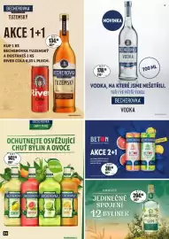 Adam leták Strana 24