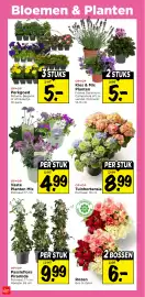 Vomar Voordeelmarkt folder week 18 Pagina 33