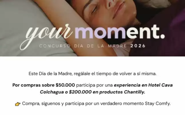 Chantilly (válido hasta 10-05)