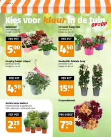 Poiesz folder week 18 Pagina 34