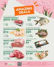 Amazing Oriëntal folder Pagina 1