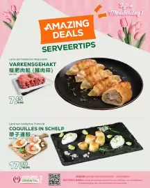 Amazing Oriëntal folder Pagina 3