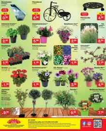 Zimmermann Prospekt woche 18 Seite 12