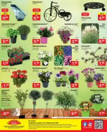 Zimmermann Prospekt woche 18 Seite 12