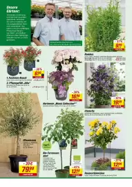 Toom Baumarkt Prospekt woche 18 Seite 4