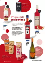 Lidl Magazin Seite 22