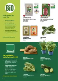 Lidl Magazin Seite 30