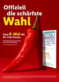 Lidl Magazin Seite 31