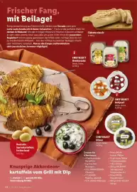 Lidl Magazin Seite 32