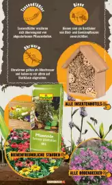 Hornbach Prospekt Seite 11