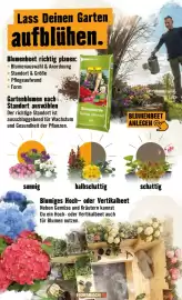 Hornbach Prospekt Seite 18