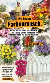 Hornbach Prospekt Seite 19