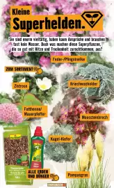 Hornbach Prospekt Seite 20