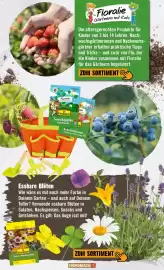 Hornbach Prospekt Seite 32