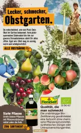 Hornbach Prospekt Seite 6