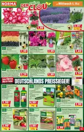 Norma Prospekt woche 19 Seite 15